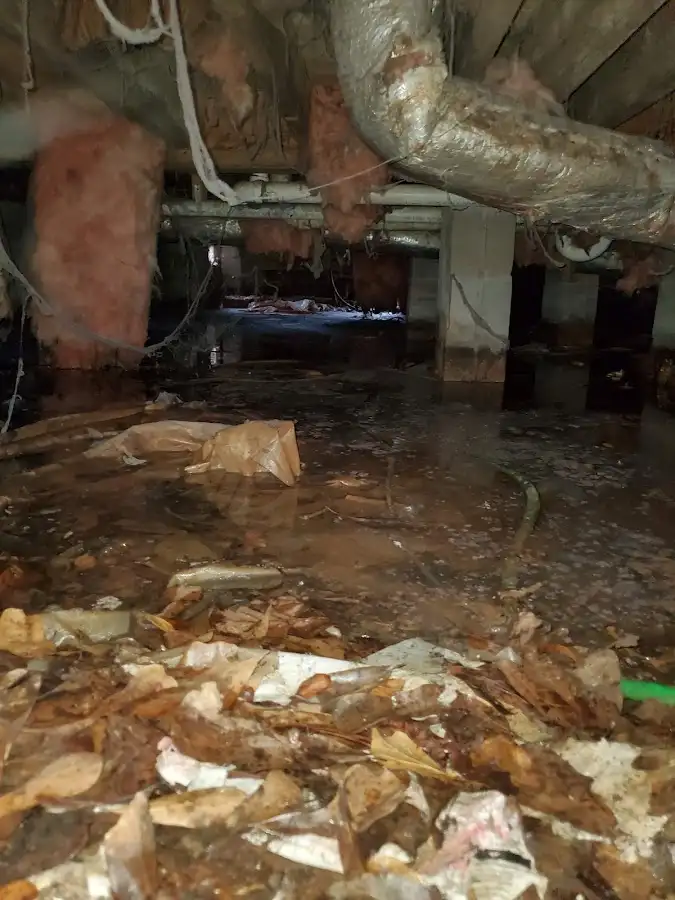 Crawl space flood assessment for Commercial Water Damage Restoration in North Kensington