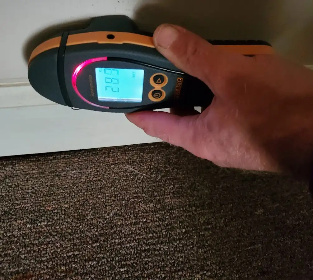 Moisture detection at baseboard during Sewage Cleanup & Sanitation in North Kensington
